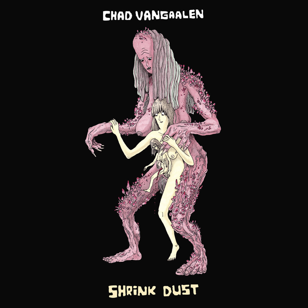 CHAD VANGAALEN - Shrink Dust (Vinyle) - Flemish Eye