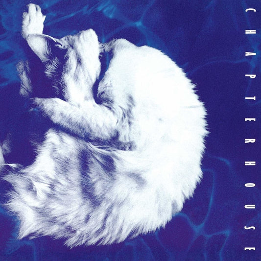 CHAPTERHOUSE - Whirlpool (Vinyle)