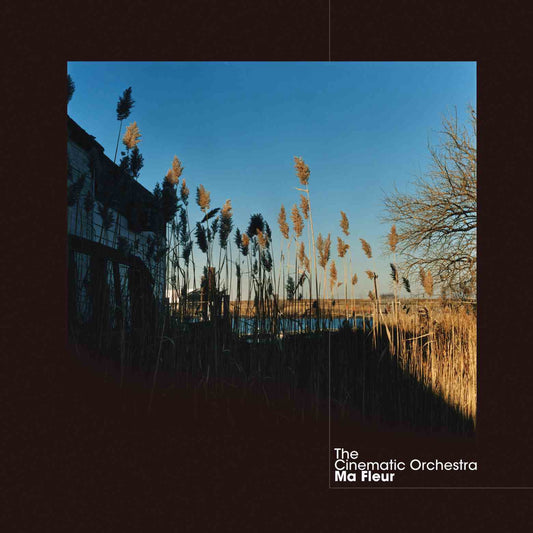 THE CINEMATIC ORCHESTRA - Ma fleur (Vinyle)