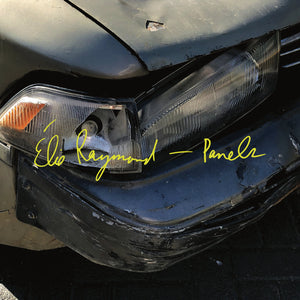ELIE RAYMOND - Panels (Vinyle)