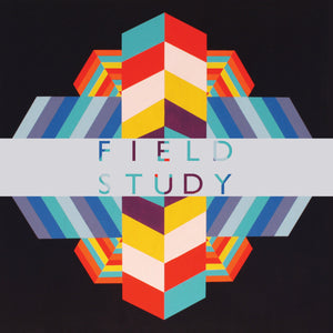 FIELD STUDY -Feverland (Vinyle)