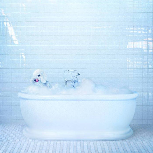 FRANKIE COSMOS - Vessel (Vinyle) - Sub Pop