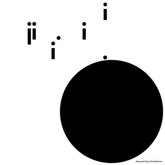 MASAYOSHI FUJITA - Bird Ambience (Vinyle)