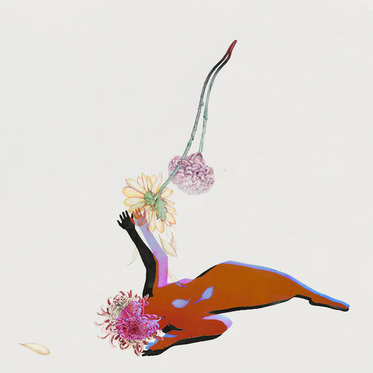 FUTURE ISLANDS - The Far Field (Vinyle) - 4AD