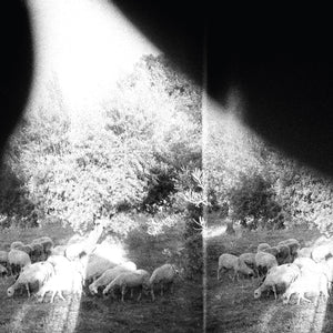 GODSPEED YOU! BLACK EMPEROR - Asunder, Sweet And Other Distress (Vinyle) - Constellation