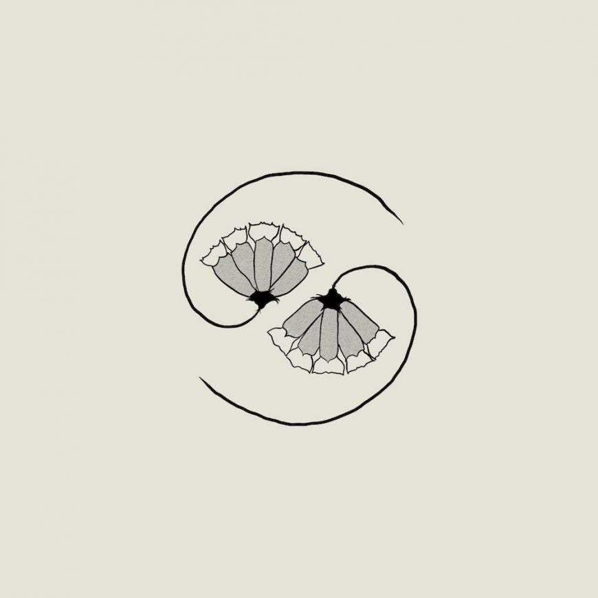 GODSPEED YOU! BLACK EMPEROR - G_d’s Pee AT STATE'S END! (Vinyle)