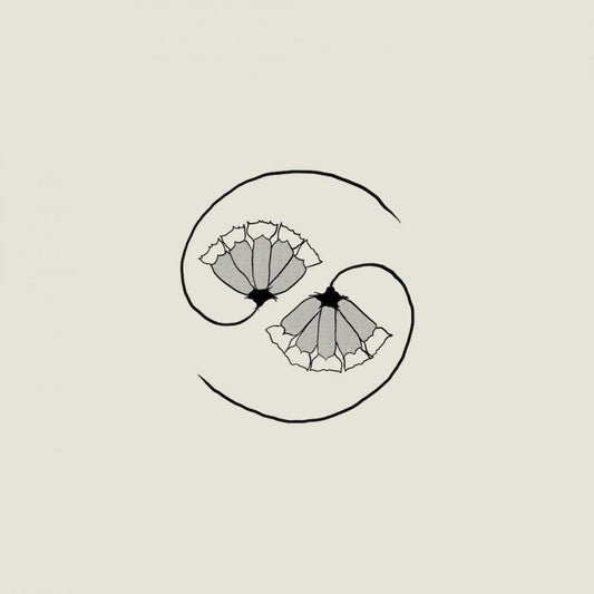 GODSPEED YOU! BLACK EMPEROR - G_d’s Pee AT STATE'S END! (Vinyle)