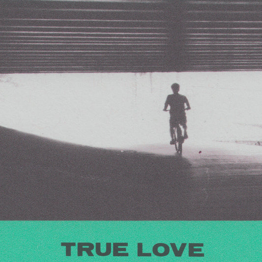 HOVVDY - True Love (Vinyle)