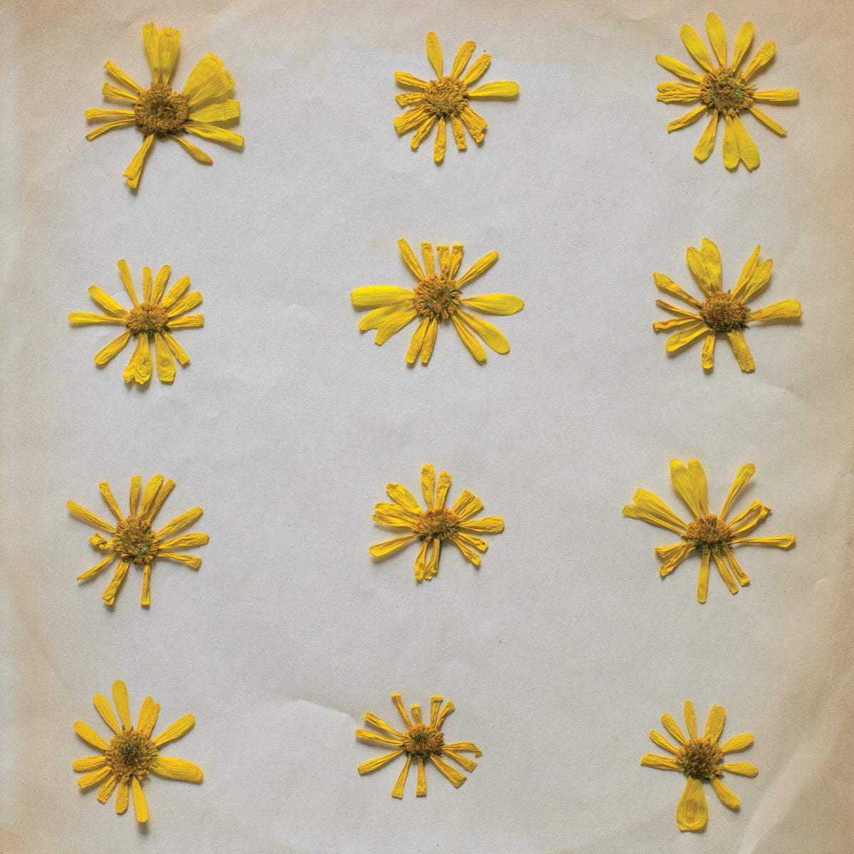 THE MOLOCHS -  Flowers In The Spring (Vinyle) - Innovative Leisure