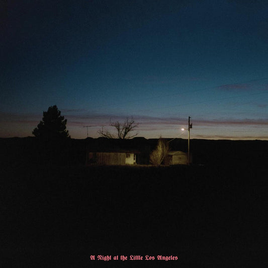 KEVIN MORBY - A Night At The Little Los Angeles (Vinyle)