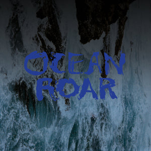 MOUNT EERIE - Clear Moon / Ocean Roar (Vinyle)