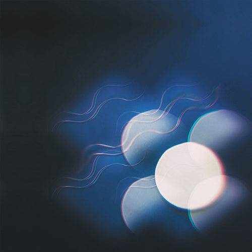 MUTUAL BENEFIT - Thunder Follows The Light (Vinyle) - Transgressive