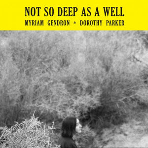 MYRIAM GENDRON ‎– Not So Deep As A Well (Vinyle) - Feeding Tube