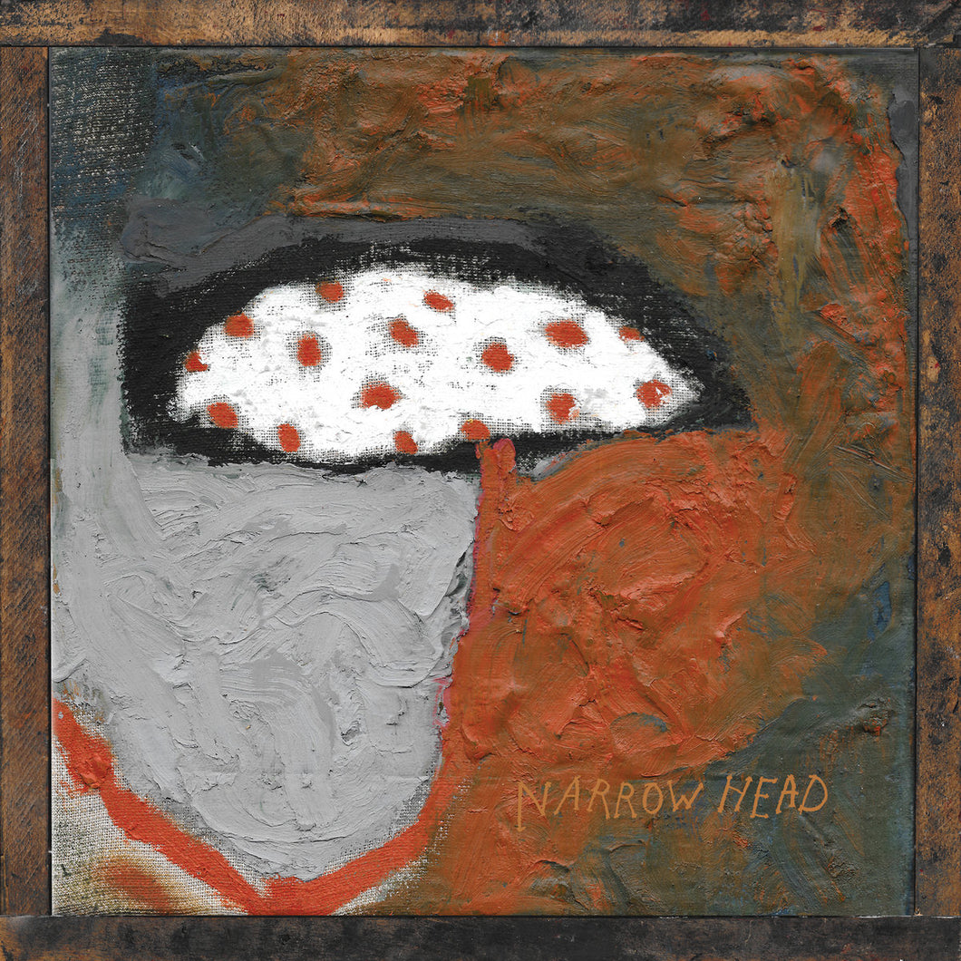 NARROW HEAD - 12th House Rock (Vinyle)