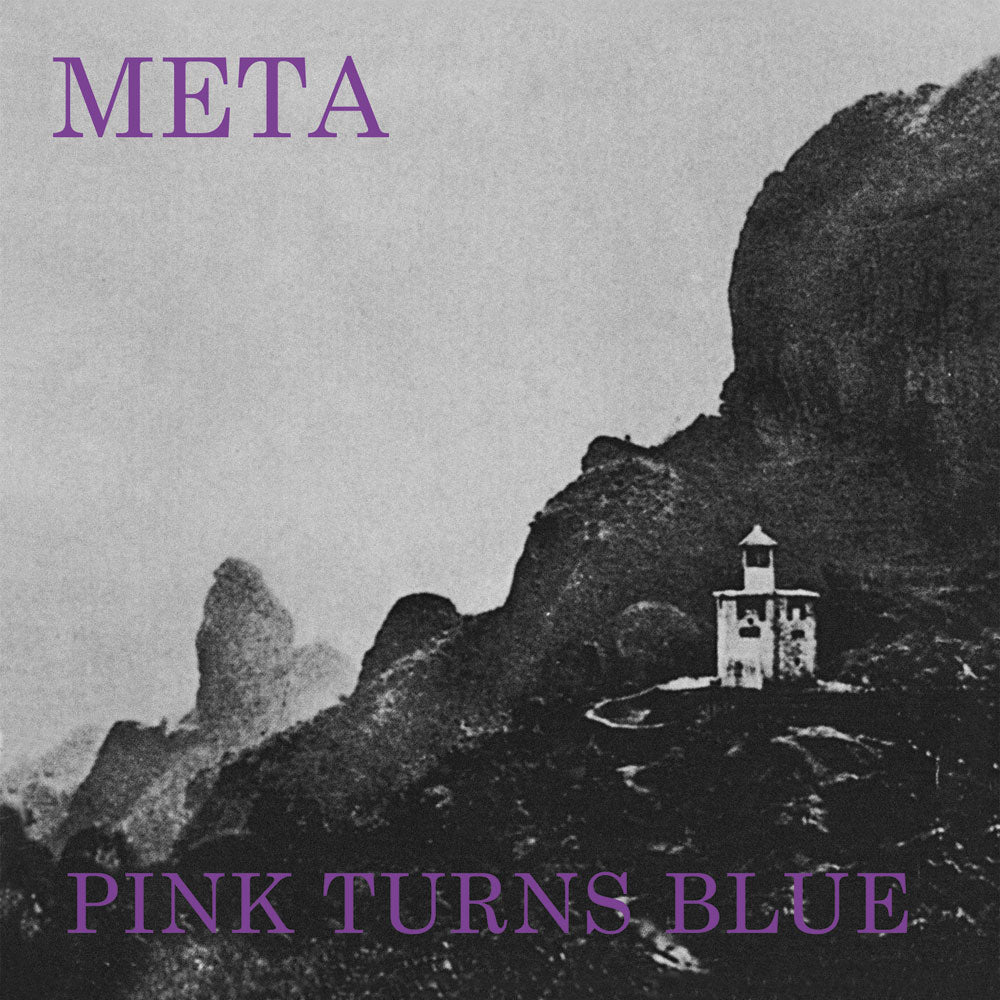 PINK TURNS BLUE - Meta (Vinyle) - Dais