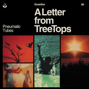PNEUMATIC TUBES - A Letter From TreeTops (Vinyle)