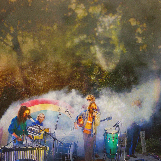 BABE RAINBOW - Levitation Sessions (Vinyle)