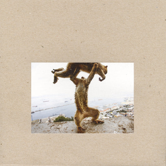 SHELLAC -Dude Incredible (Vinyle)