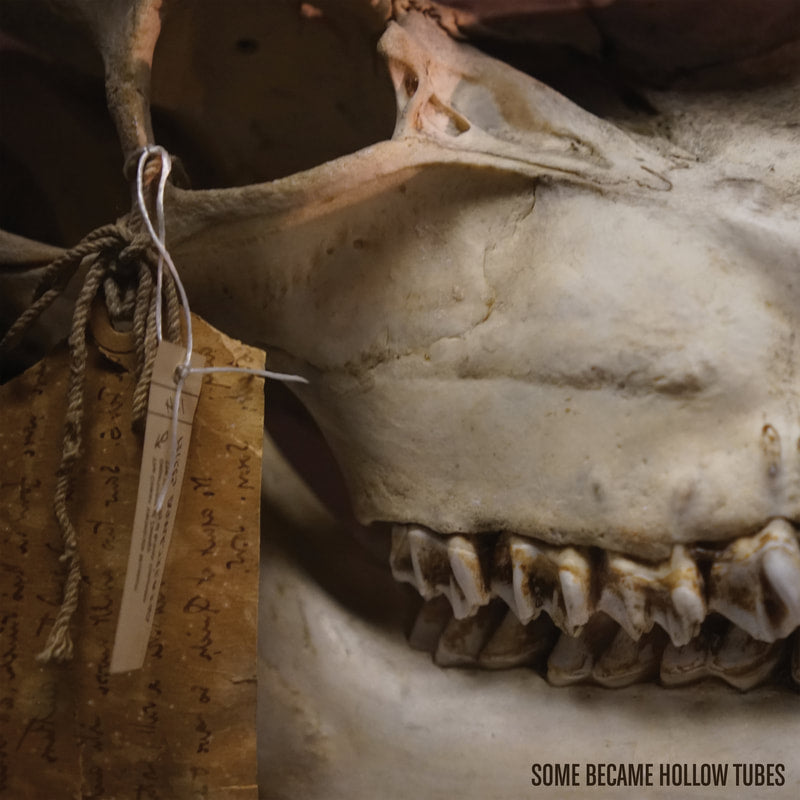SOME BECAME HOLLOW TUBES - Keep It In The Ground (Vinyle) - Gizeh