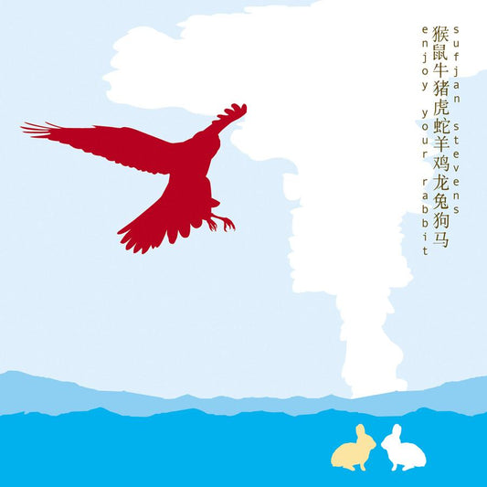SUFJAN STEVENS - Enjoy Your Rabbit (Vinyle) - Ashmatic Kitty