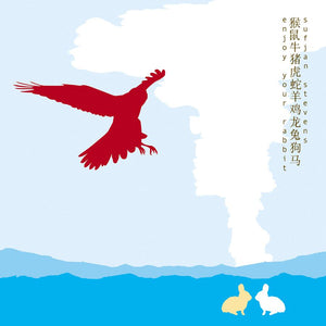 SUFJAN STEVENS - Enjoy Your Rabbit (Vinyle) - Ashmatic Kitty