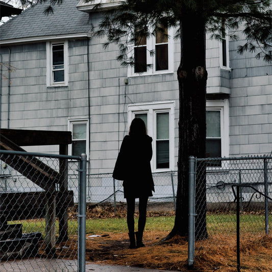 THE TALLEST MAN ON EARTH - Dark Bird Is Home (Vinyle) - Dead Oceans