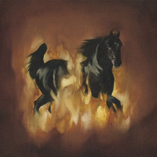 THE BESNARD LAKES - ...Are The Dark Horse (Vinyle)