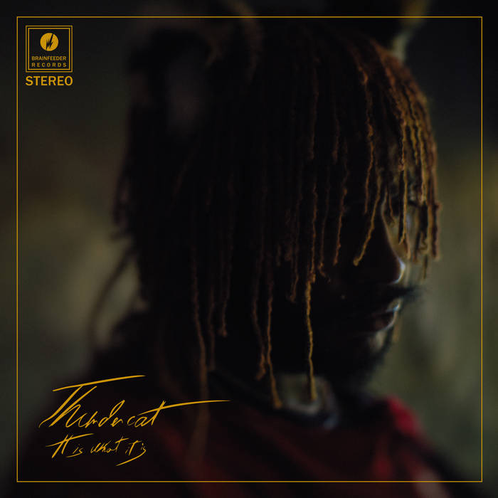 THUNDERCAT - It Is What It Is (Vinyle) - Brainfeeder