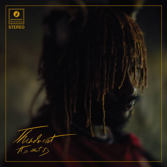 THUNDERCAT - It Is What It Is (Vinyle) - Brainfeeder