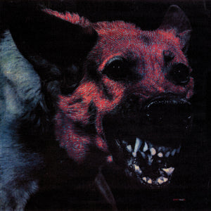 PROTOMARTYR - Under Color Of Official Right (Vinyle) - Hardly Art
