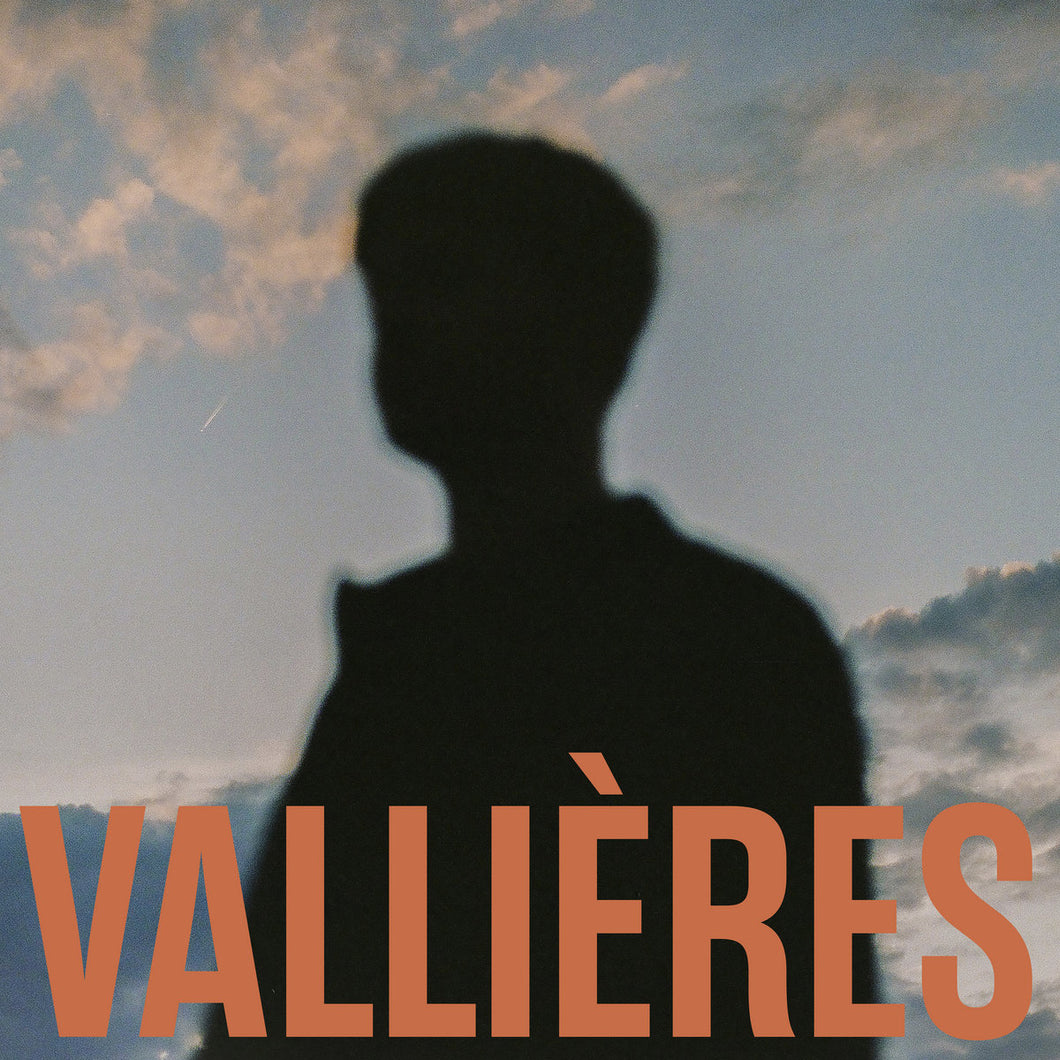 VINCENT VALLIÈRES - Toute beauté n'est pas perdue (Vinyle)