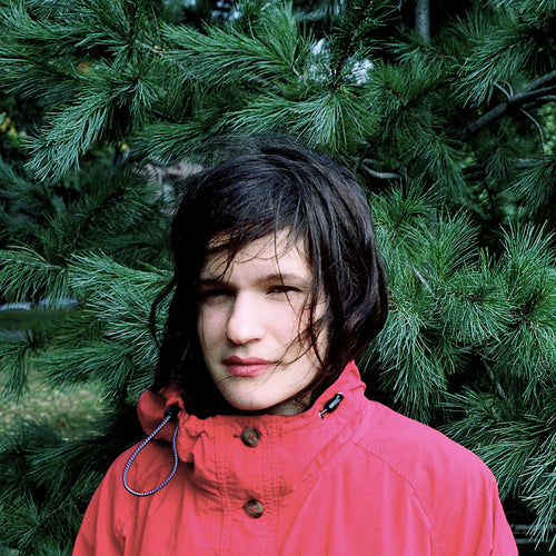 ADRIANNE LENKER - Hours Were The Birds (Vinyle) - Saddle Creek