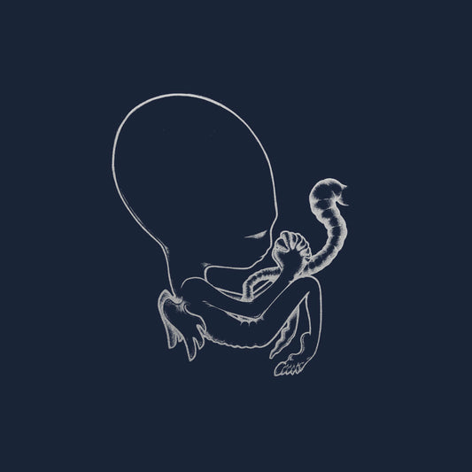 SIGUR RÓS - Ágætis Byrjun (Vinyle) - XL