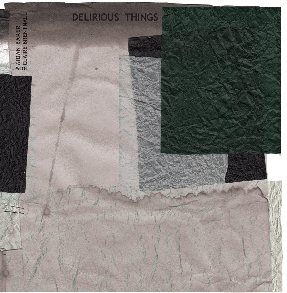 AIDAN BAKER WITH CLAIRE BRENTNALL ‎– Delirious Things (Vinyle) - Pleasence