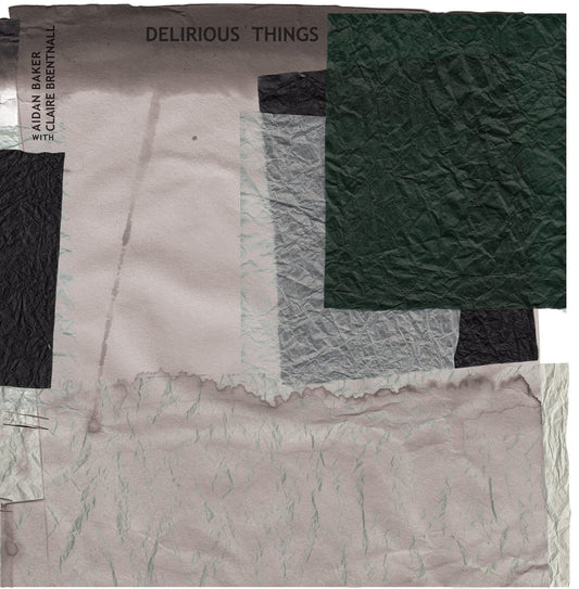 AIDAN BAKER WITH CLAIRE BRENTNALL ‎– Delirious Things (Vinyle) - Pleasence