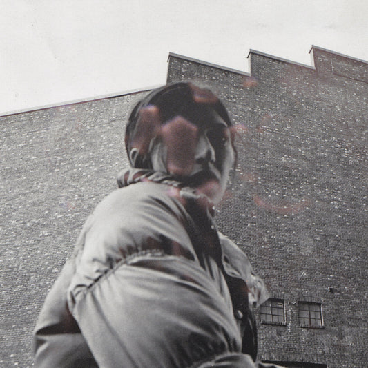 ALDOUS HARDING - Warm Chris (Vinyle)