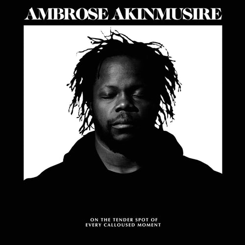 AMBROSE AKINMUSIRE - On The Tender Spot Of Every Calloused Moment (Vinyle)
