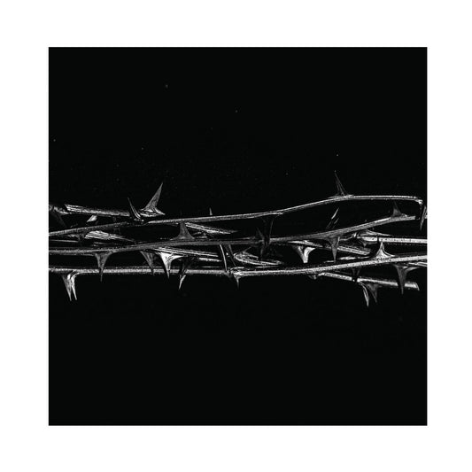 AMENRA - De Doorn (Vinyle)