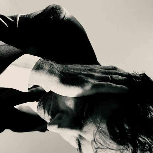 ANDREW BIRD - Inside Problems (Vinyle)