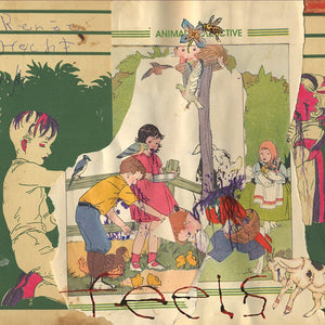 ANIMAL COLLECTIVE - Feels (Vinyle)