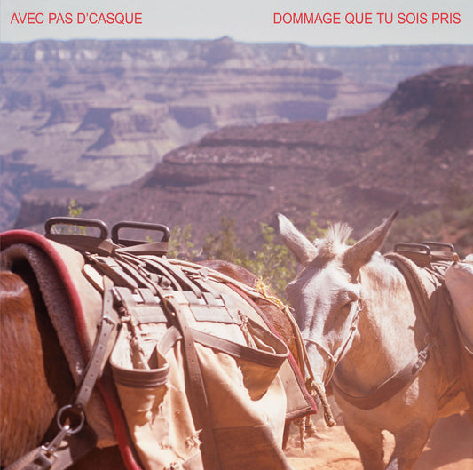 AVEC PAS D'CASQUE - Dommage que tu sois pris (Vinyle) - Grosse Boîte