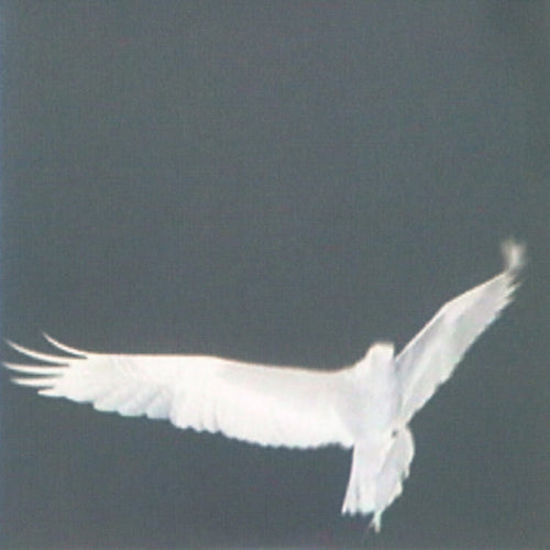 BARDO POND - Adrop / Circuit VIII (Vinyle) - Three Lobed