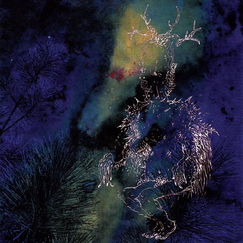 BARDO POND - Under the Pines (Vinyle)