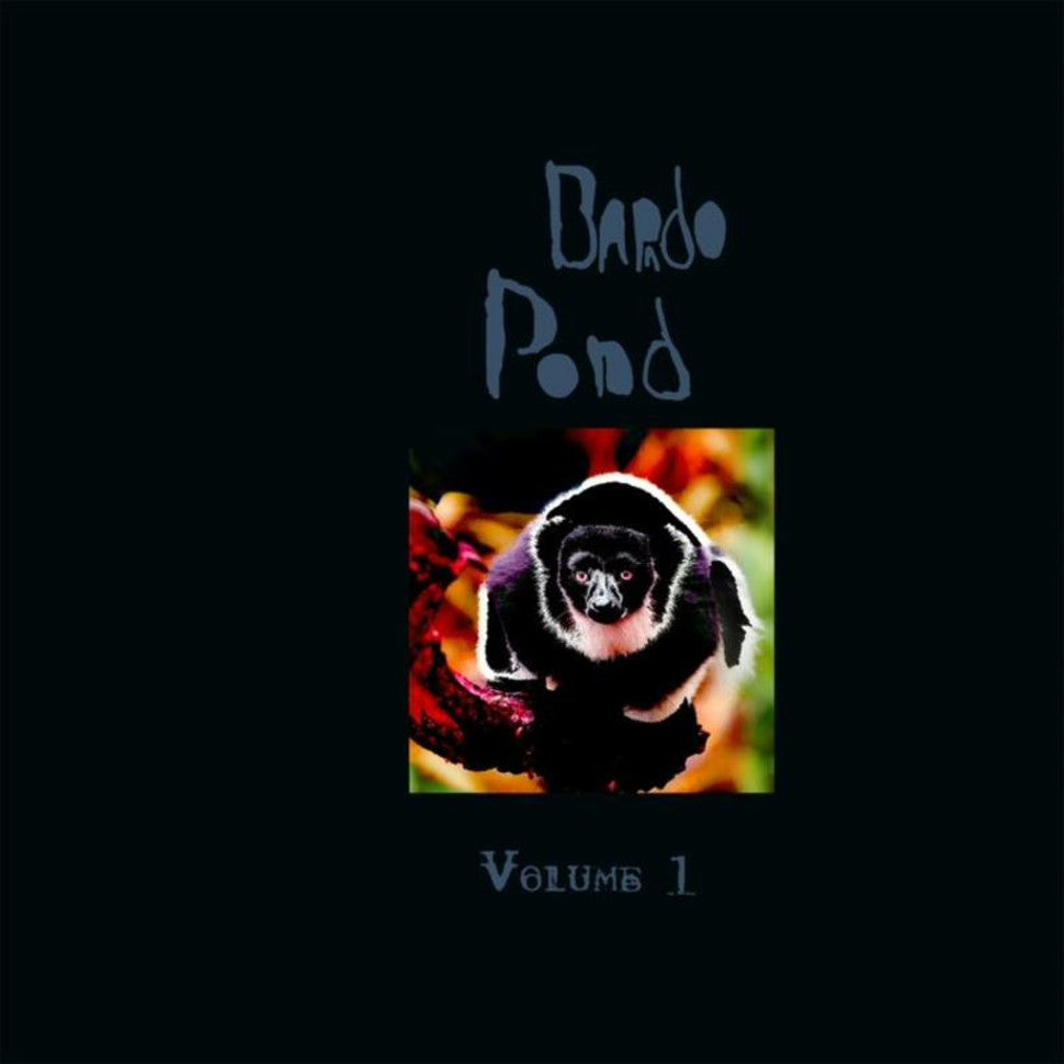 BARDO POND - Volume 1 RSD2021 (Vinyle)