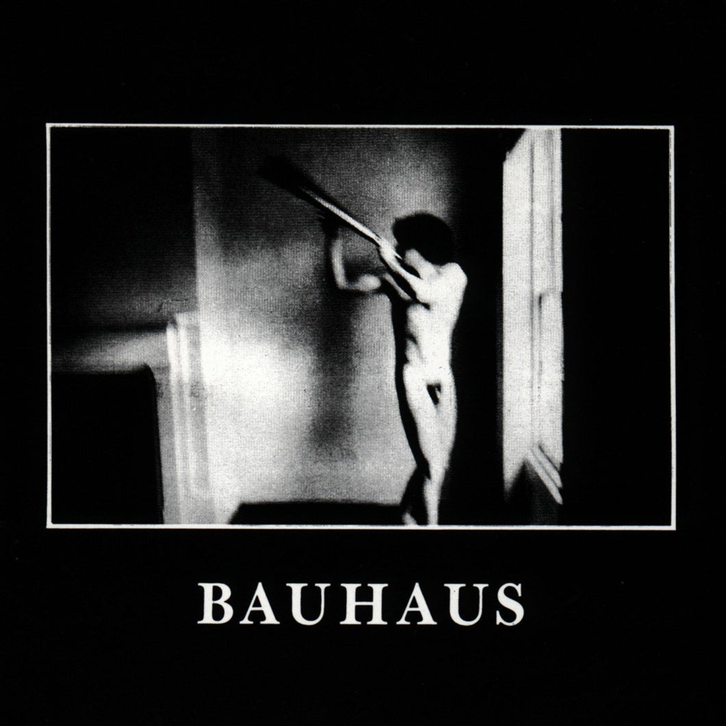 BAUHAUS - In The Flat Field 40th anniversary (Vinyle) - 4AD