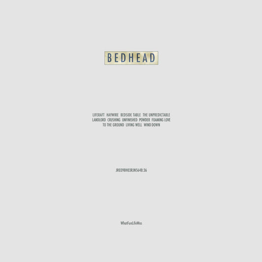 BEDHEAD - WhatFunLifeWas (Vinyle)