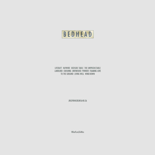 BEDHEAD - WhatFunLifeWas (Vinyle)