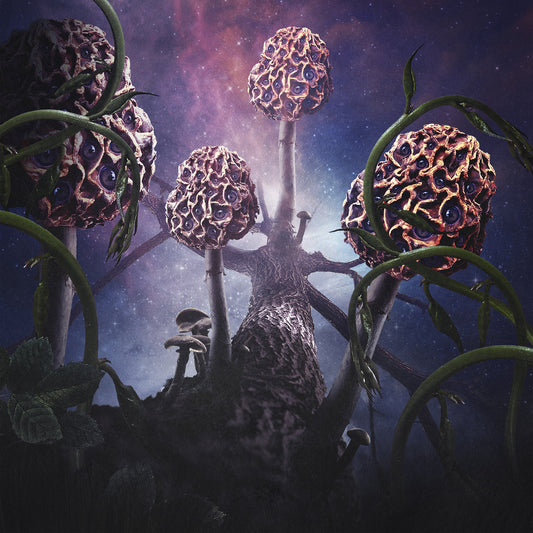BLUT AUS NORD - Hallucinogen (Vinyle)
