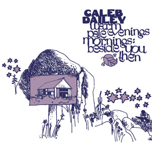 CALEB DAILEY - Warm Mornings, Pale Evenings : Beside You Then (Vinyle)