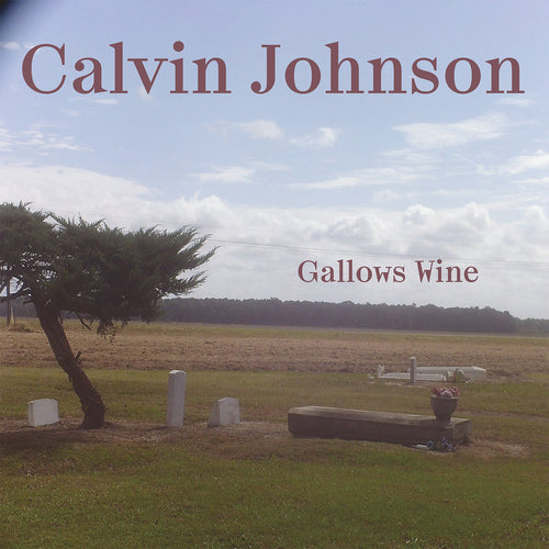 CALVIN JOHNSON - Gallows Wine (Vinyle)